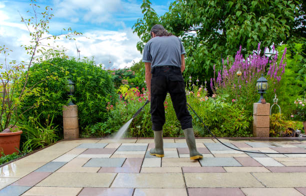 Best Pre-Holiday Cleaning  in Elwood, IN